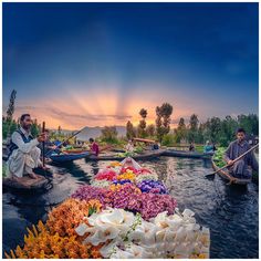 people on small boats in the water with flowers and plants around them, at sunset