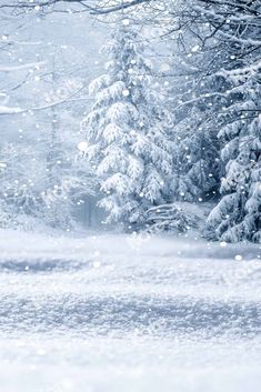 the snow is falling in front of some trees