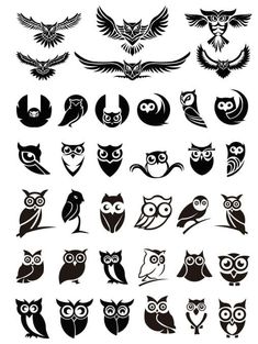 an image of different types of owls