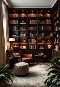 Bonus Room Ideas Library Aesthetic Small Room, Bonus Room Bookshelves, Library Media Room, Home Library Lighting Ideas, Bonus Room Lighting, Home Library Room Luxury, In House Library, Reading Nook Ideas For Adults Cozy Corner, Cozy Bonus Room