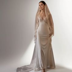 a woman in a wedding dress and veil