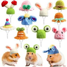 a group of small animals wearing knitted hats