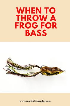 an image of a fish with the words when to throw a frog for bass on it