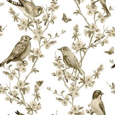 birds sitting on branches with white flowers and leaves