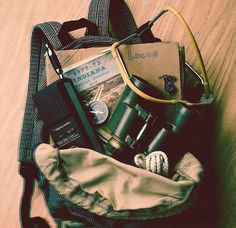 the contents of a backpack sitting on top of a wooden floor