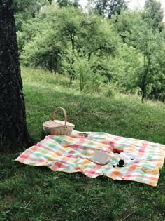 a picnic blanket and bottle of wine on the grass in front of a large tree