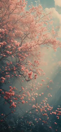 a tree with pink flowers in the sunlight