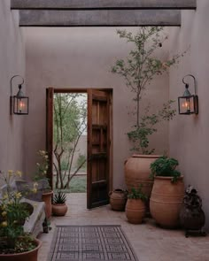 an entry way with potted plants and lights