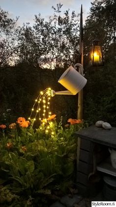 a facebook post with an image of a watering can in the middle of flowers and lights