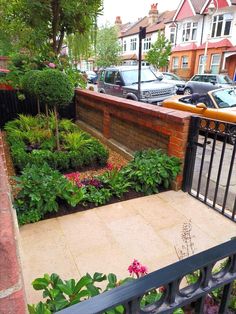 an urban garden with flowers and plants in the foreground, cars parked on the other side