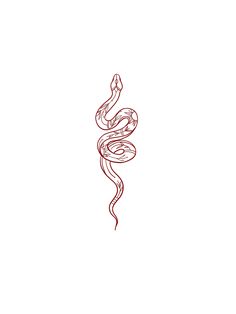 a red line drawing of a snake on a white background