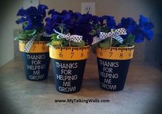 three buckets with blue flowers in them that say thanks for helping me grow