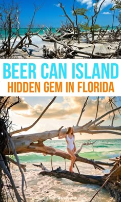 a woman standing on top of a tree branch next to the ocean with text that reads beer can island hidden gems in florida