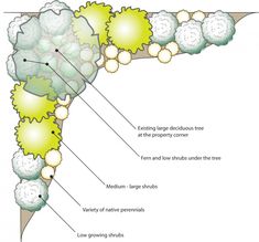 an image of the structure of a plant