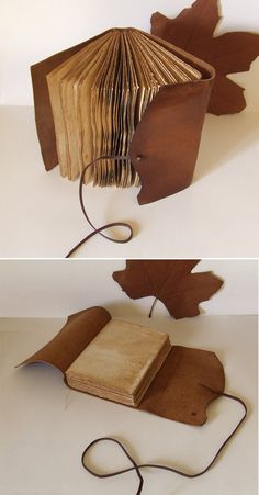 an open book with leaves on it and the pages folded up to look like a leaf