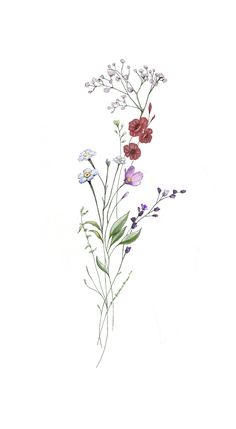 watercolor painting of wildflowers on white background