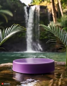 a purple frisbee sitting in front of a waterfall