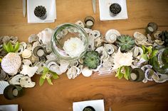 the table is covered with shells and succulents