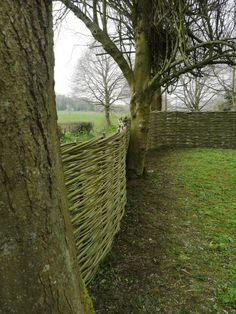 a wooden fence next to a tree in a field