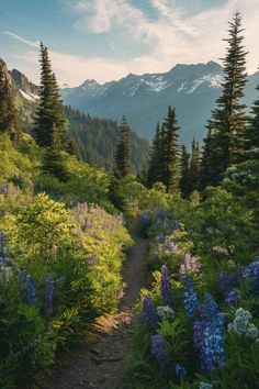 a trail in the mountains surrounded by wildflowers and pine trees with snow capped mountains in the background