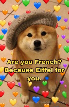 a dog wearing a hat with hearts all around it and the caption are you french? because eiffel for you