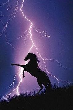 a horse standing on its hind legs in the middle of a field with lightning behind it