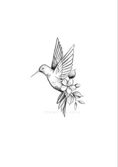 a black and white drawing of a bird flying