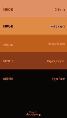 the color scheme for an orange, brown and black palette with different colors on it