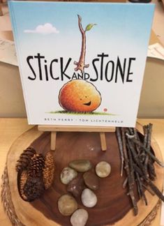 a book sitting on top of a wooden table next to rocks and pine cones in front of it