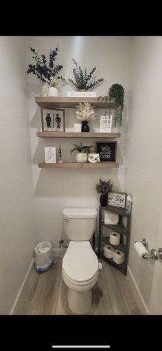 a white toilet sitting inside of a bathroom next to a wooden shelf filled with plants