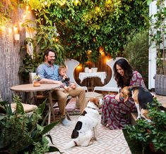 a family sitting in their backyard with two dogs and three people on the patio, surrounded by greenery