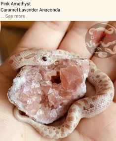 a hand holding a pink amethyst in it's palm with other items