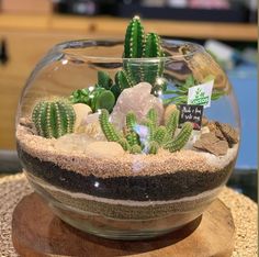 a glass bowl filled with plants on top of a table