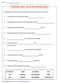 worksheet for the verbebrate and invertibles