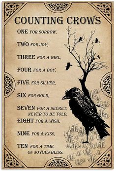 One For Sorrow, Xmas Art, Counting Crows, Witch Spirituality, Witchcraft Spell Books, Witch Spell, Witch Books