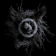 an image of a ring with wings and a skull in it that is surrounded by branches