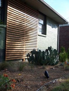 the house is made out of wood and has a cactus in front of it, along with other plants