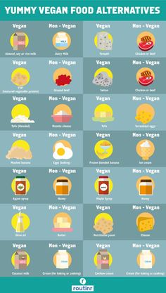 the ultimate guide to yummy vegan food alternatives info graphic by rosini