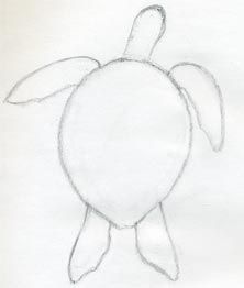 a drawing of a turtle on white paper