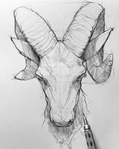 a pencil drawing of a ram's head