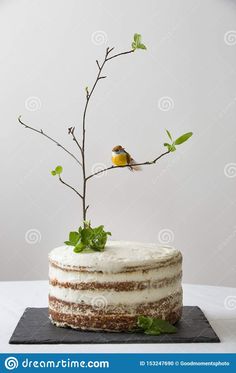 a cake with white frosting and a small bird on top is sitting on a branch