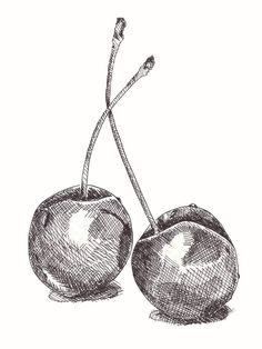 Fruits Drawing, Drawing Hands, Pen Art Drawings, Pencil Shading, Object Drawing, Drawing Faces