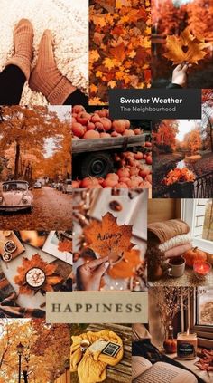 a collage of photos with autumn leaves and other things in the background, including an open book