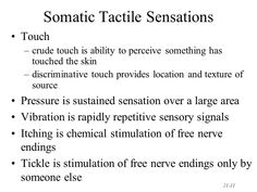 Sensory Neuron, Reticular Formation, Movement Exercises, Internal Capsule, Somatic Movement, Nervous System Anatomy, Sensory Pathways, Referred Pain