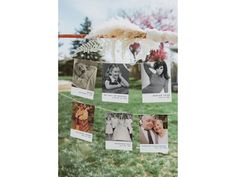 several photos hanging on a clothes line in the grass