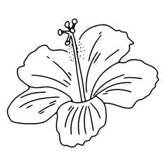 Hawaii Line Art, Indigenous Symbols, Brochure Illustration, Art Time, Hawaiian Flower, Mo Design, Hawaiian Flowers, Shirt Maker, Educational Projects