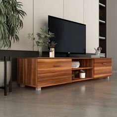 a large flat screen tv sitting on top of a wooden entertainment center next to a potted plant