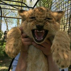 a person holding a stuffed animal that looks like a cat with it's mouth open