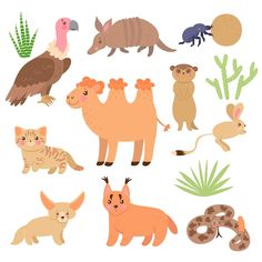 an assortment of different types of animals on a white background with cactuses and cacti