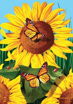 sunflowers and butterflies with blue sky in the background